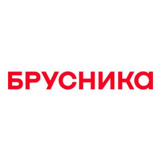 Brusnika Logo PNG Vector