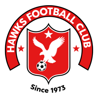 Hawks Football Club Logo PNG Vector
