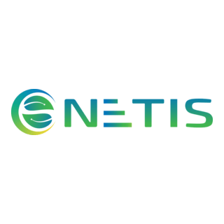 NETIS Group Logo PNG Vector