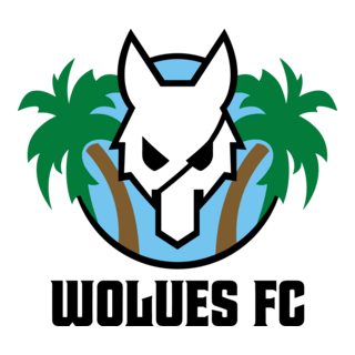WOLUES FC Logo PNG Vector