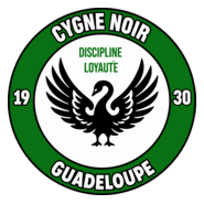 Association Sportive Cygne Noir Logo PNG Vector