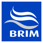 Brim hf. Logo PNG Vector