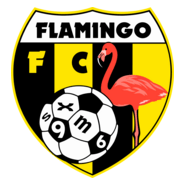 FC Flamingo Logo PNG Vector
