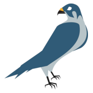 Hawk Logo PNG Vector