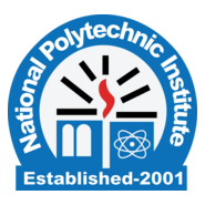 National Polytechnic Institute (NPI) Logo PNG Vector