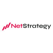 NetStrategy Logo PNG Vector