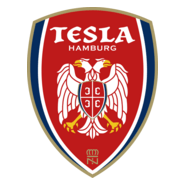 SSG Nikola Tesla Logo PNG Vector