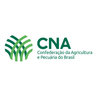 CNA Logo PNG Vector