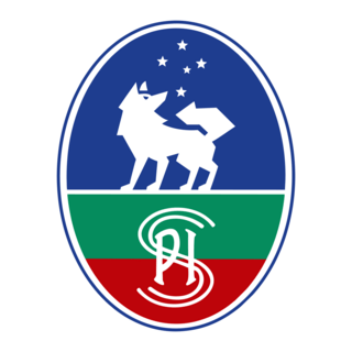 Cruzeiro Esporte Clube - Concept Logo PNG Vector