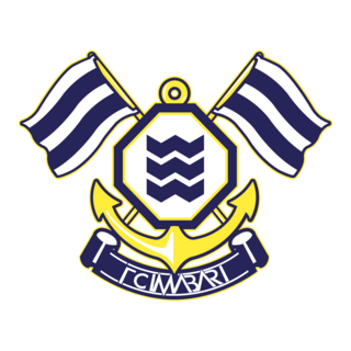 FC Imabari Logo PNG Vector