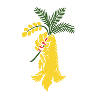 Old Rugbeians FC Logo PNG Vector