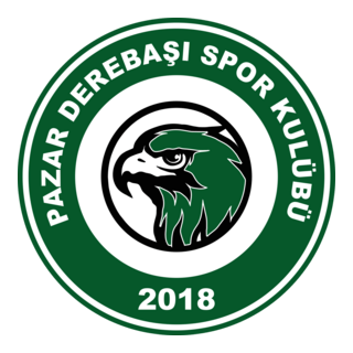 Pazar Derebaşıspor Logo PNG Vector