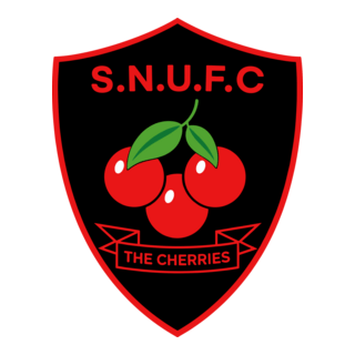 Sturminster Newton United Football Club Logo PNG Vector