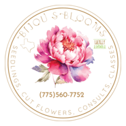 Bijou's Blooms Logo PNG Vector