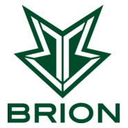 BRION Logo PNG Vector