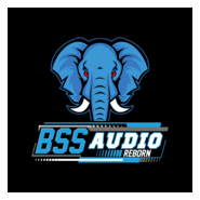 bss audio Logo PNG Vector