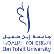 University Ibn Tofaïl - Morocco Logo PNG Vector