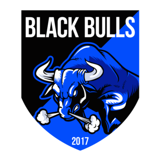 Associação Black Bulls Logo PNG Vector