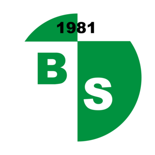 Bingölspor Logo PNG Vector