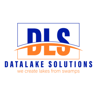 DATA LAKE SOLUTION Logo PNG Vector