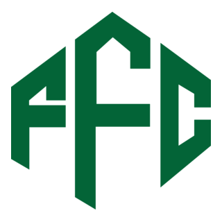 FEIRA FUTEBOL CLUBE SAF Logo PNG Vector