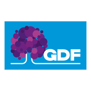 Governo do Distrito Federal (GDF) 2026 Logo PNG Vector