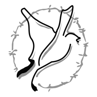 NORAID Logo PNG Vector