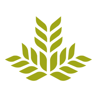 Northeast Georgia Health System (NGHS) Logo PNG Vector