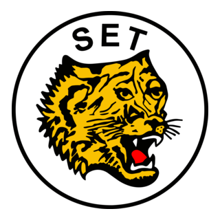 Sociedade Esportiva Tiradentes – Teresina (PI) Logo PNG Vector