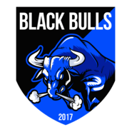 Associação Black Bulls Logo PNG Vector