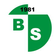 Bingölspor Logo PNG Vector