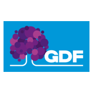 Governo do Distrito Federal (GDF) 2026 Logo PNG Vector