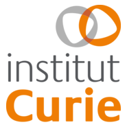 Institut Curie Logo PNG Vector