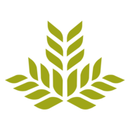 Northeast Georgia Health System (NGHS) Logo PNG Vector