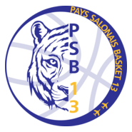 Pays Salonais Basket 13 Logo PNG Vector