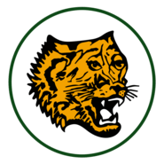 Sociedade Esportiva Tiradentes – Teresina (PI) Logo PNG Vector (PDF ...