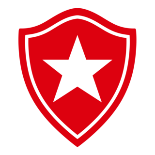 Botafogo Veneciano Futebol Clube - Nova Venécia Logo PNG Vector