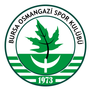 Bursa Osmangazispor Logo PNG Vector