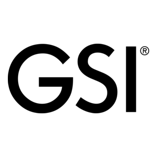 GSI ceramic Logo PNG Vector