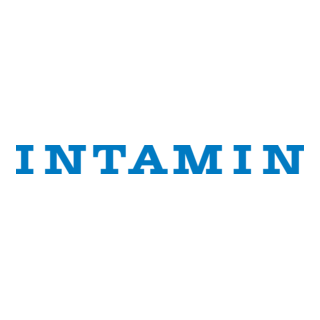Intamin Logo PNG Vector