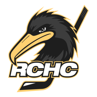 Les Cormorans Logo PNG Vector
