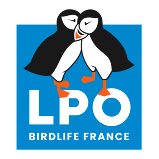 LPO Logo PNG Vector