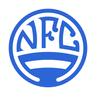 Niteroiense Futebol Clube Logo PNG Vector