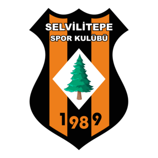 Selvilitepespor Logo PNG Vector