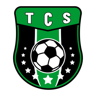 TCS Logo PNG Vector
