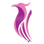Berniq Airways Logo PNG Vector
