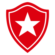 Botafogo Veneciano Futebol Clube - Nova Venécia Logo PNG Vector