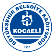 Kocaeli Kağıtspor Logo PNG Vector