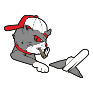 kucing nyetir Logo PNG Vector