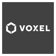 Voxel Logo PNG Vector